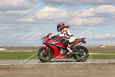 media/Feb-10-2024-TrackDaz (Sat) [[d83b097a69]]/C Group/1240pm (Wheelie Bump)/